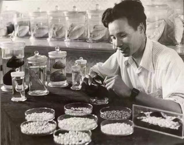 640 (13).png 640 (13).png